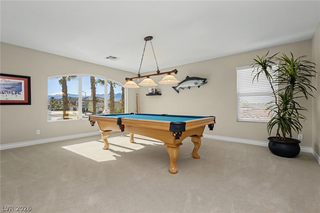 4307 Spooner Lake Circle Property Photo 33
