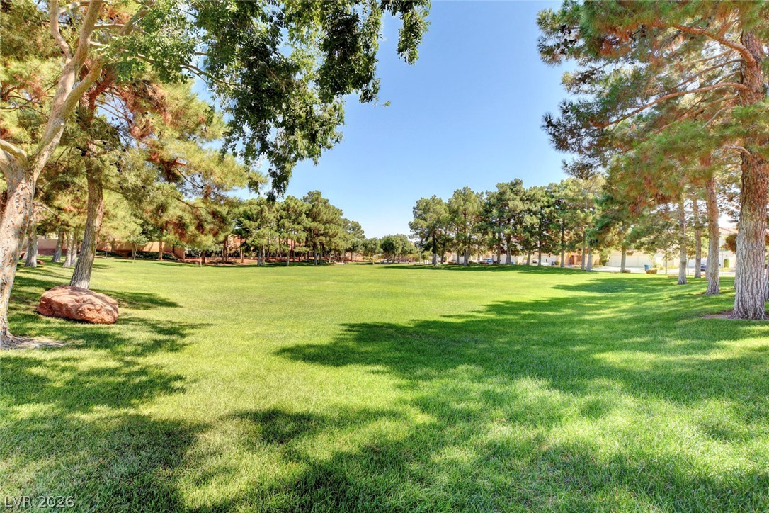 1409 Palantine Hill Drive Property Photo 72