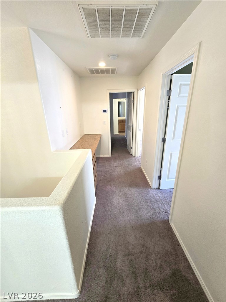 10520 Sun Palace Court Property Photo 21