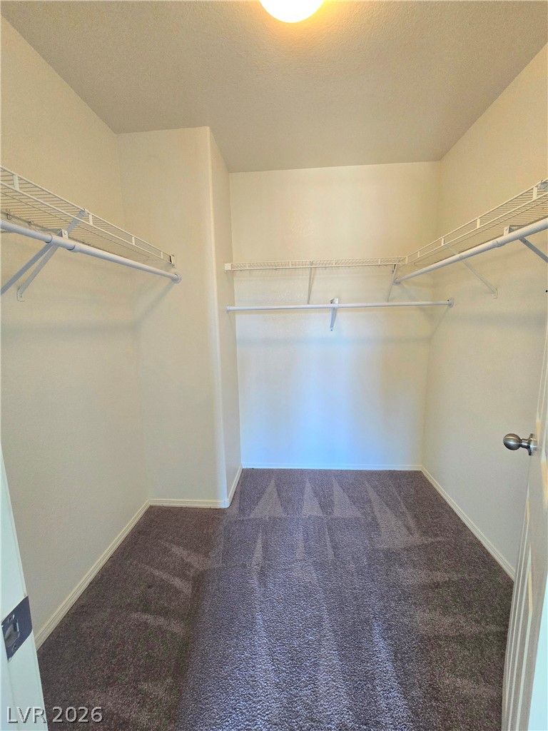 10520 Sun Palace Court Property Photo 33