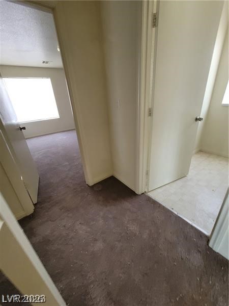 8149 Palace Monaco Avenue Property Photo 38