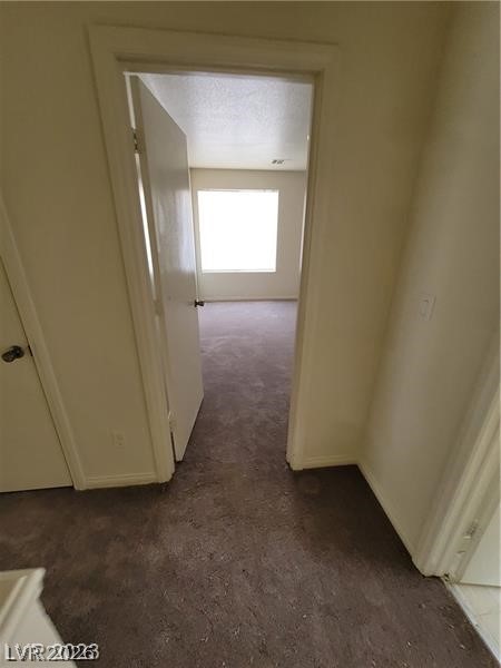 8149 Palace Monaco Avenue Property Photo 39