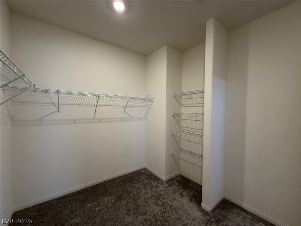 11836 Black Canary Avenue Property Photo 26