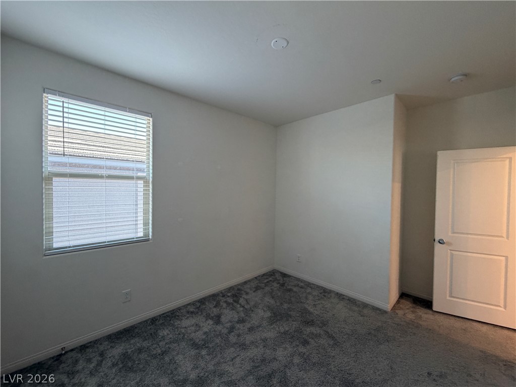 11836 Black Canary Avenue Property Photo 29