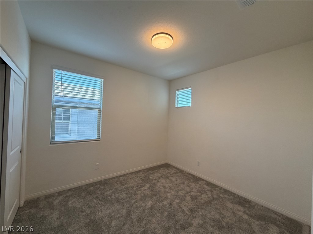 11836 Black Canary Avenue Property Photo 31