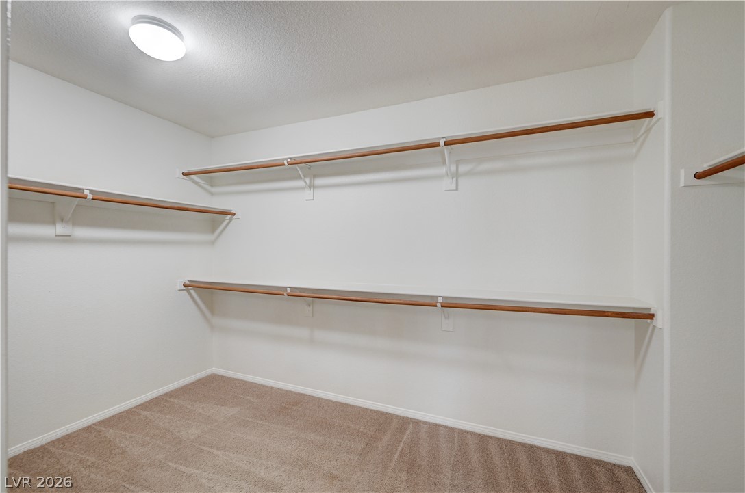 6637 Cliff Shore Court Property Photo 41