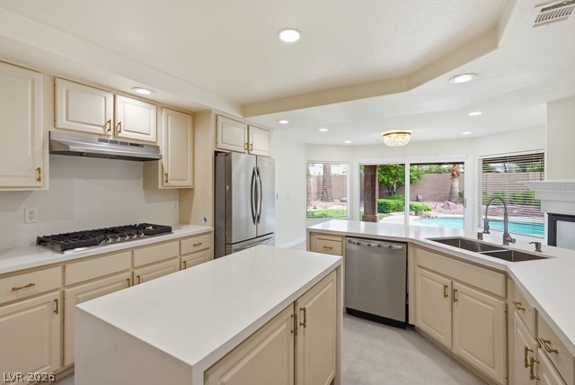 9081 Lawton Pine Drive Property Photo 37