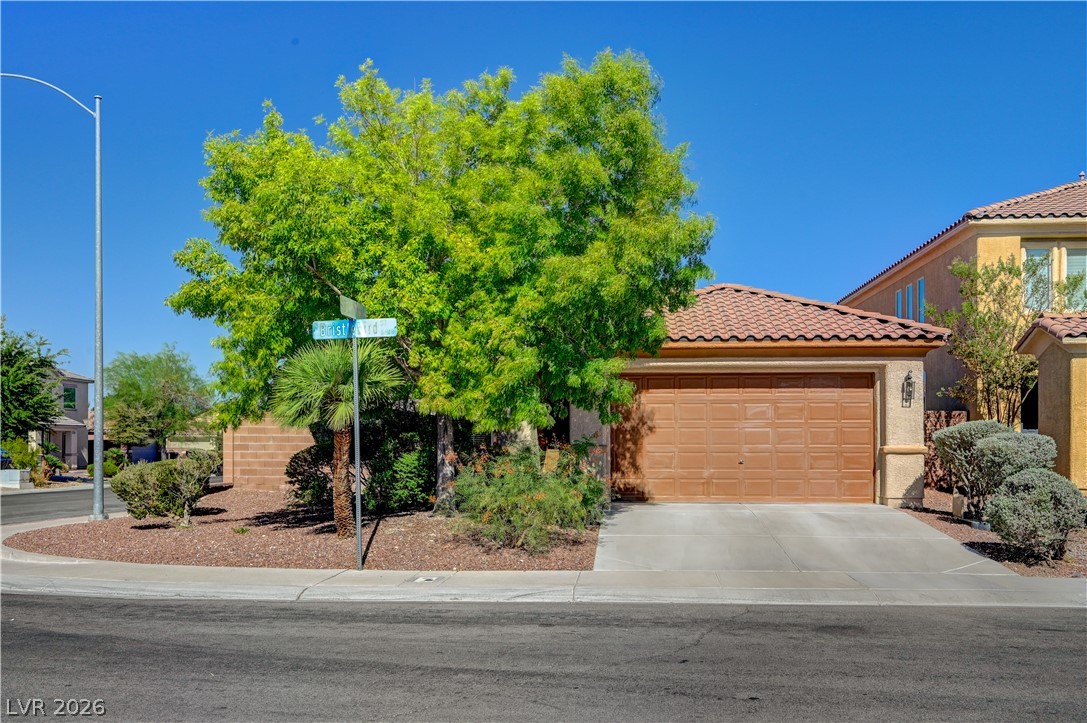 6444 Bristlebird Street Property Photo 1