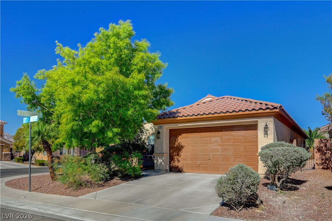 6444 Bristlebird Street Property Photo 2