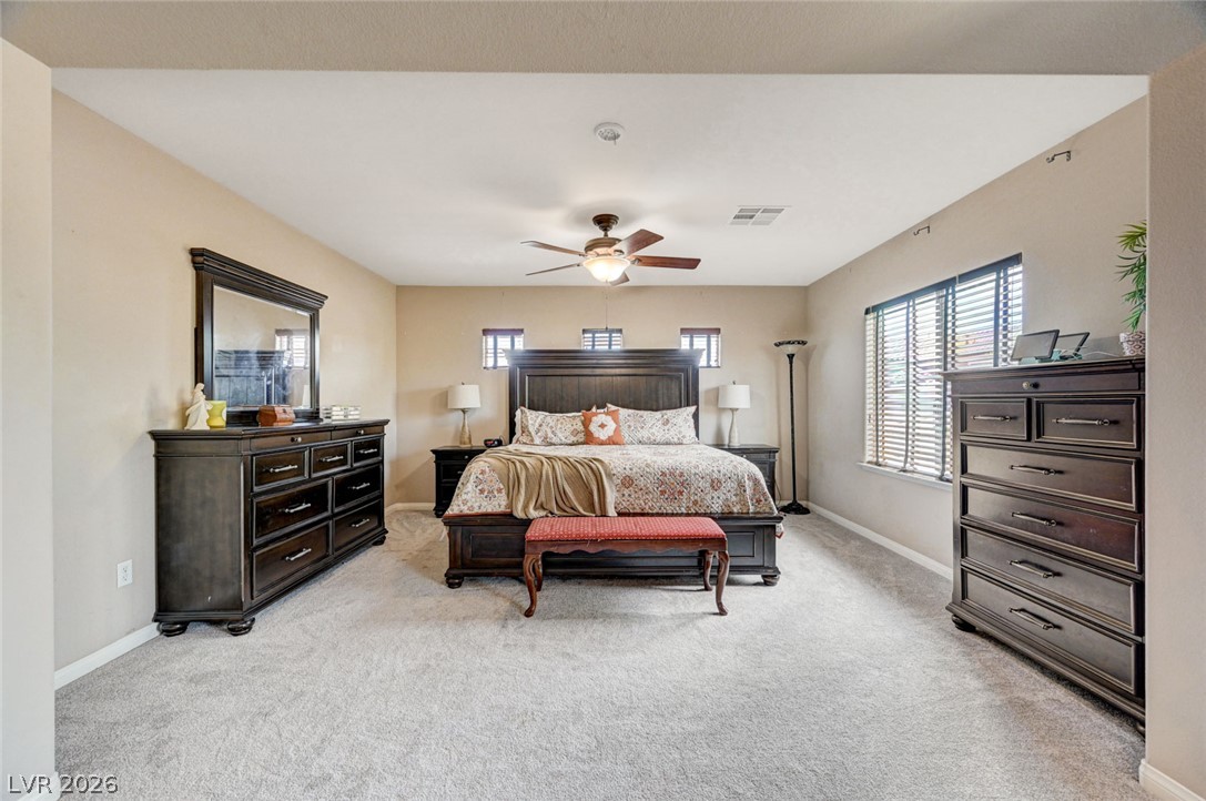 10029 Scenic Walk Avenue Property Photo 41
