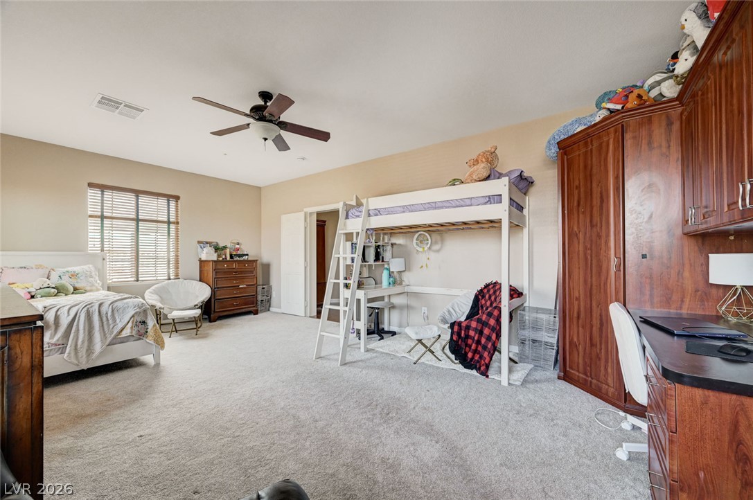 10029 Scenic Walk Avenue Property Photo 51
