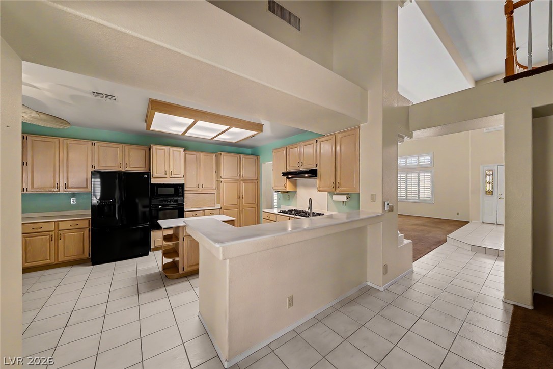 7628 Belmondo Lane Property Photo 16