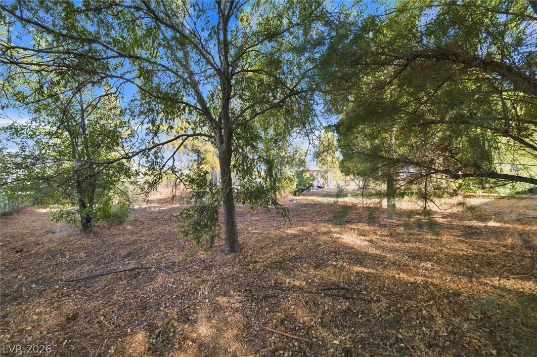 2891 Yucca Terrace Avenue Property Photo 39