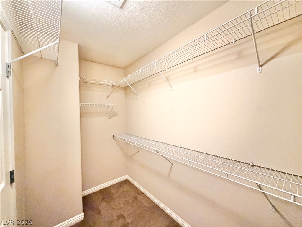 10360 Blue Ginger Drive Property Photo 23