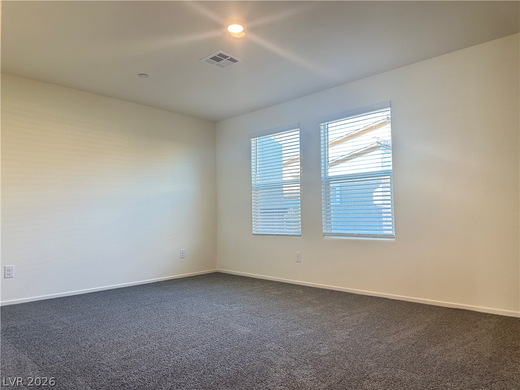 9918 Saffron Hills Street Property Photo 4