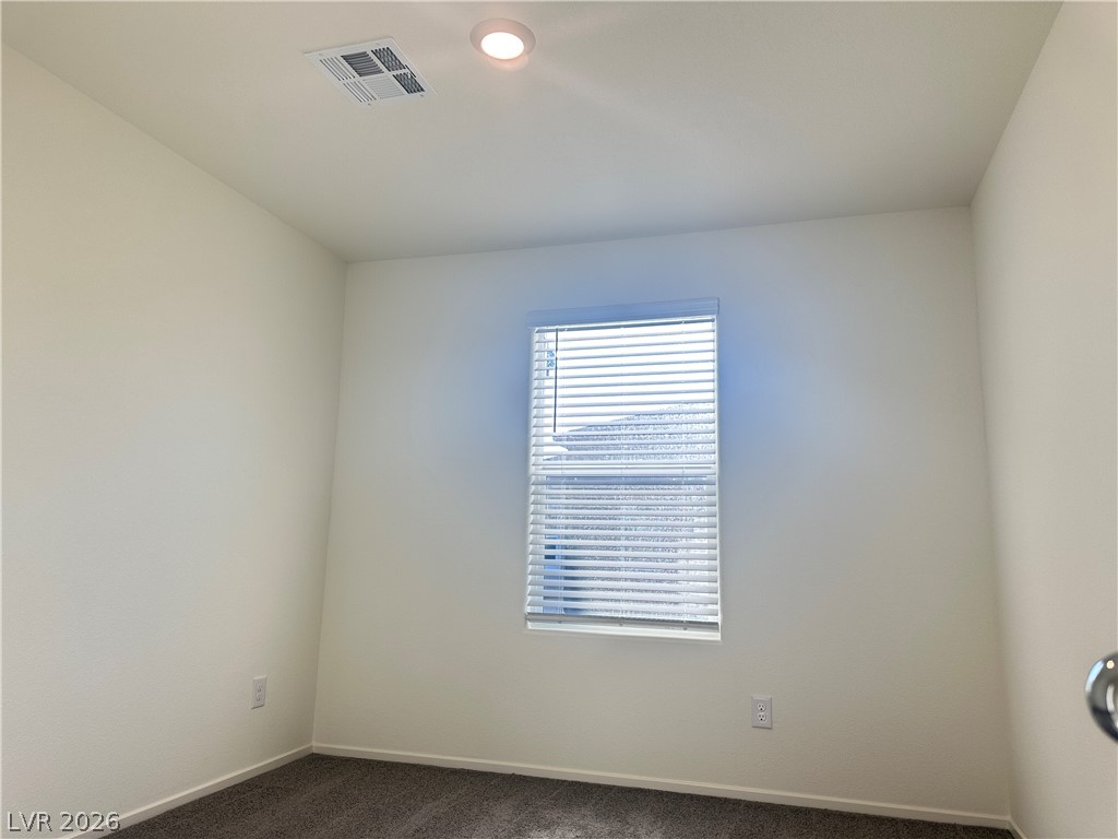 9918 Saffron Hills Street Property Photo 8