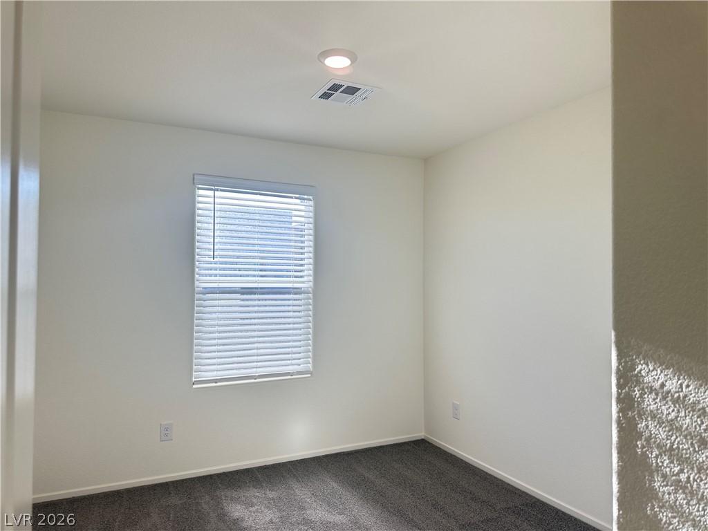 9918 Saffron Hills Street Property Photo 10