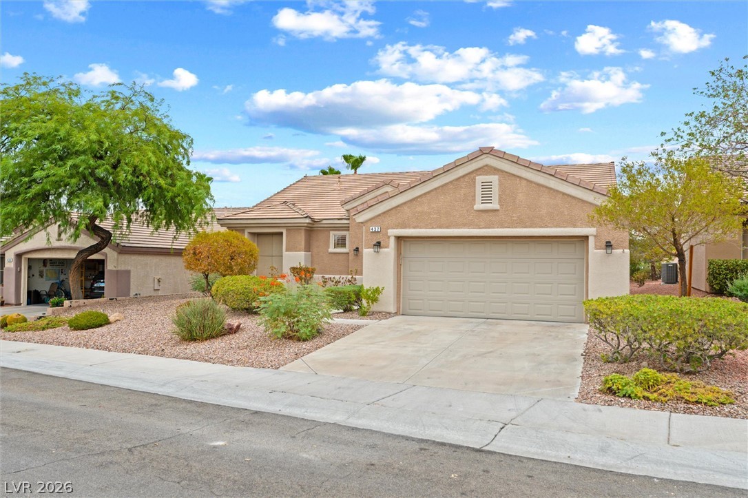 432 Piute Valley Court Property Photo 3
