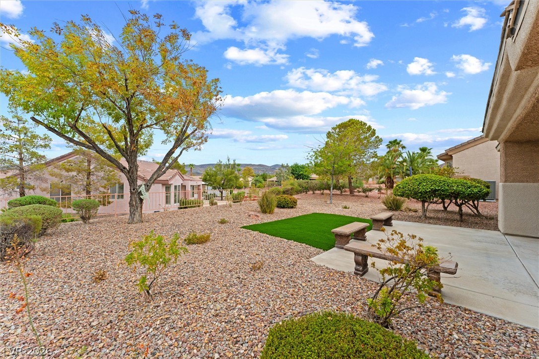 432 Piute Valley Court Property Photo 39