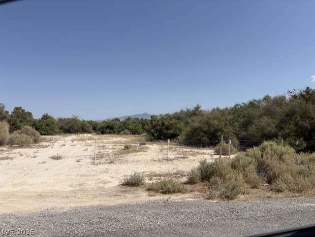 1270 West Morgan Lane Property Photo 3