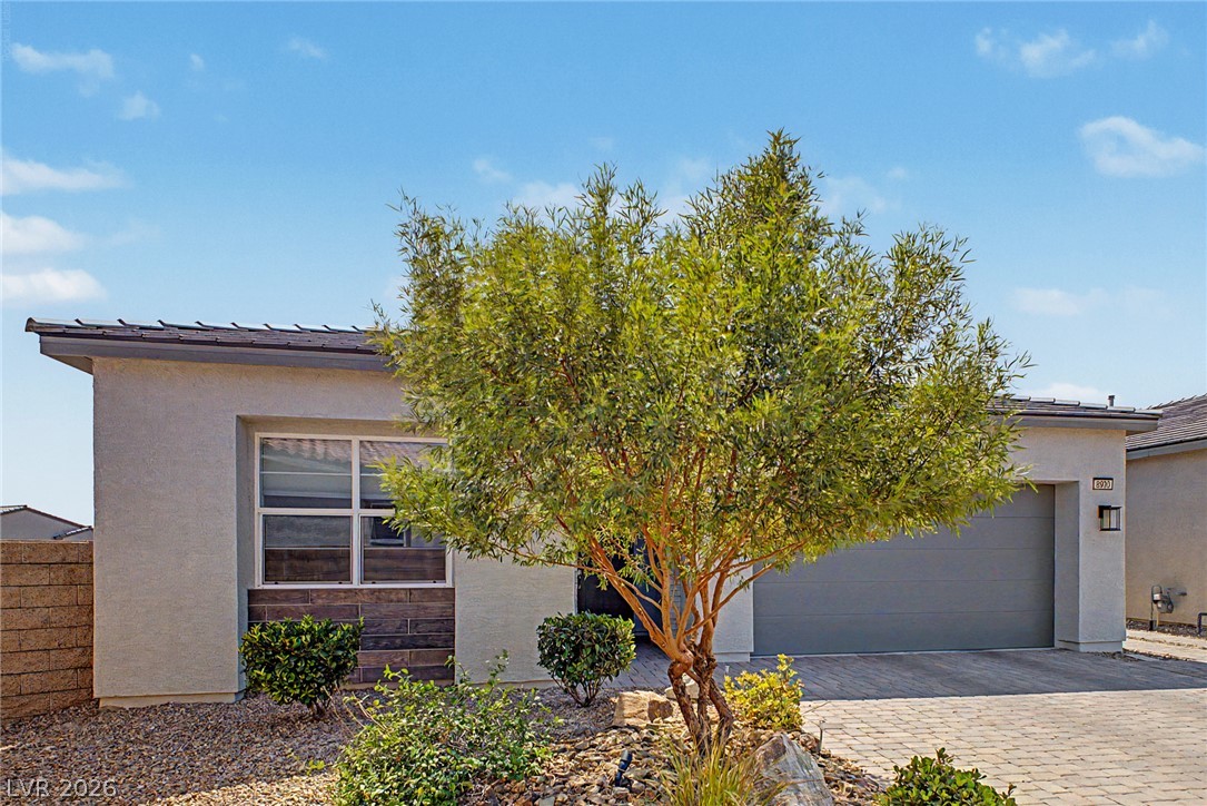 8920 Skye Canyon Ranch Street Property Photo 5