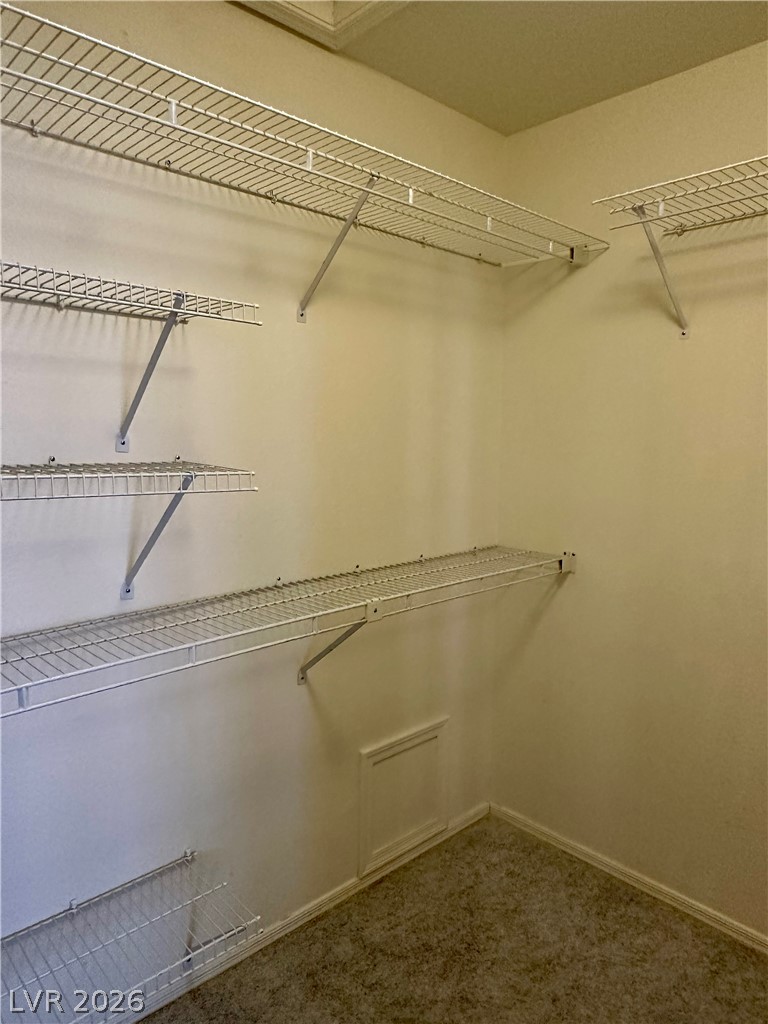10016 Heyfield Drive Property Photo 24