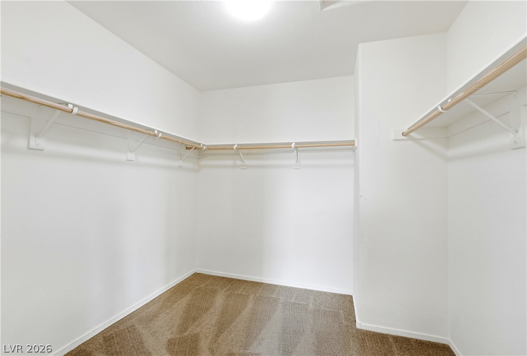 141 Blue Trout Avenue Property Photo 43