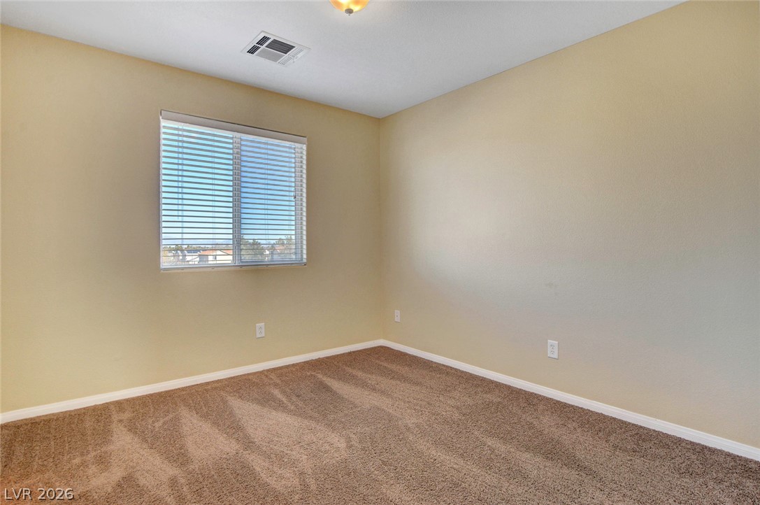 10254 Ladybug Bend Street Property Photo 22