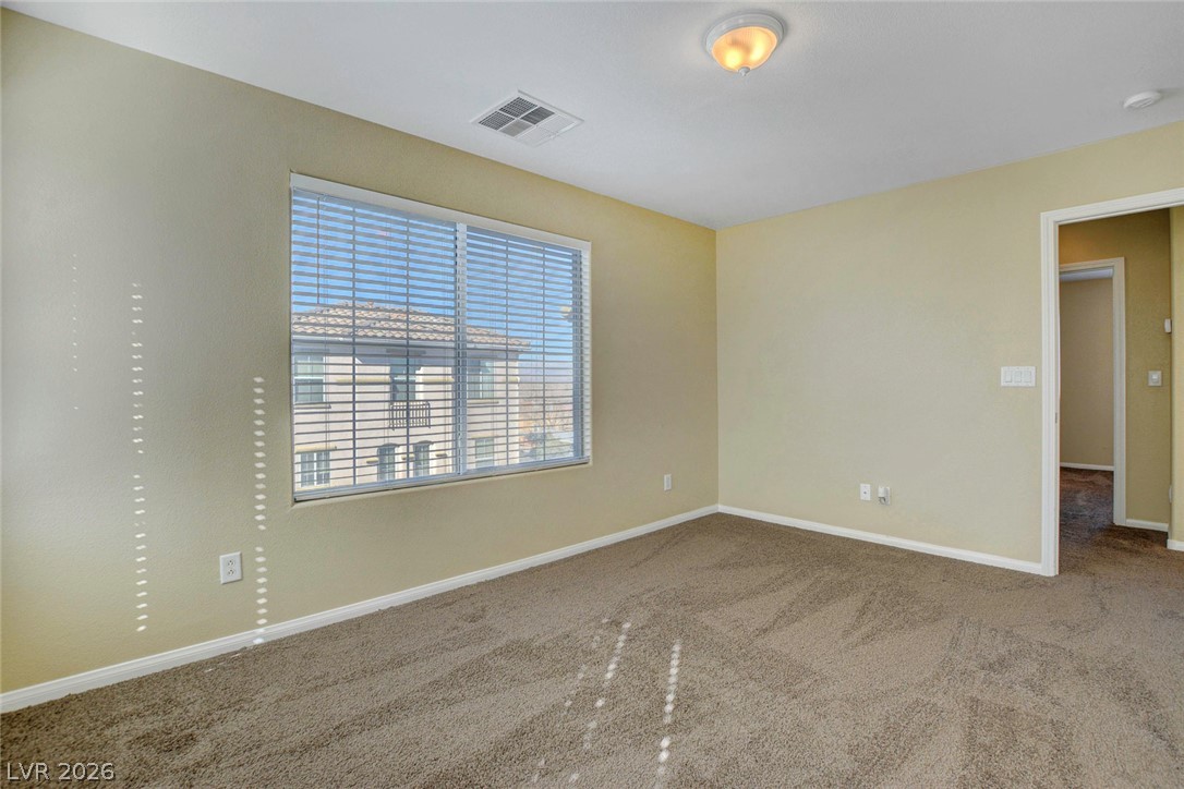 10254 Ladybug Bend Street Property Photo 28