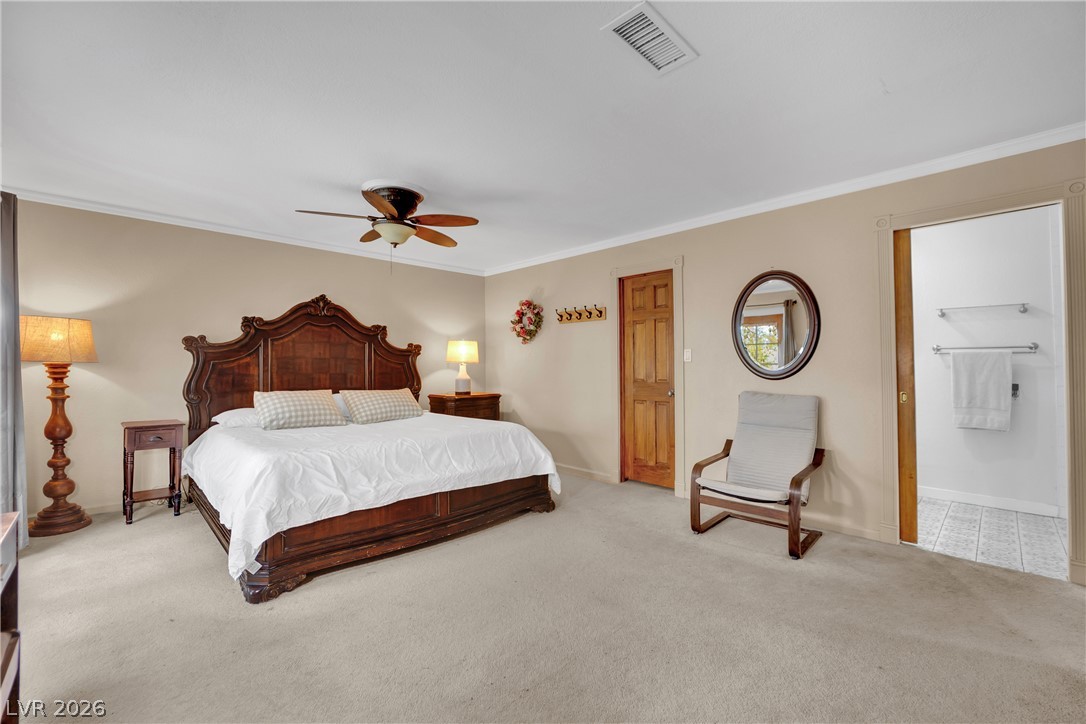 4550 Silver Peak Street Property Photo 22