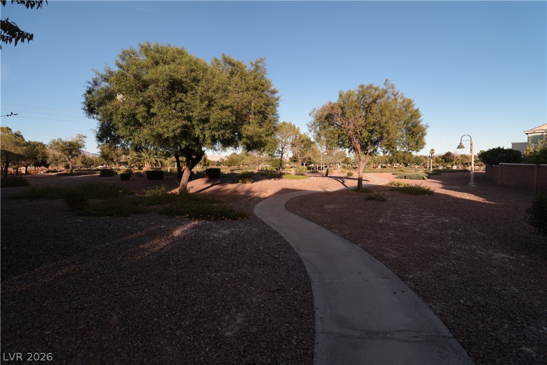 5940 Feral Garden Street Property Photo 33