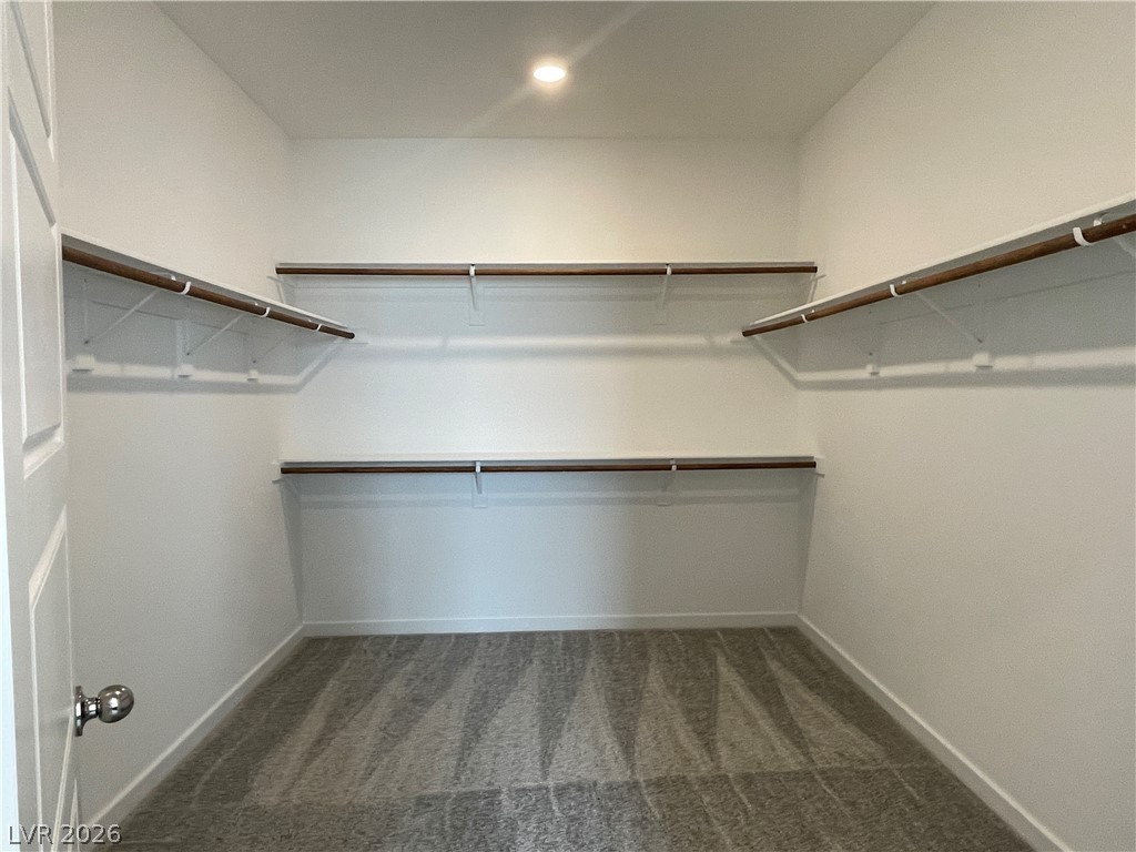 6841 Chargehand Avenue Property Photo 30