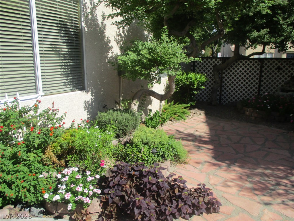 64 Playa Del Coco Court Property Photo 4