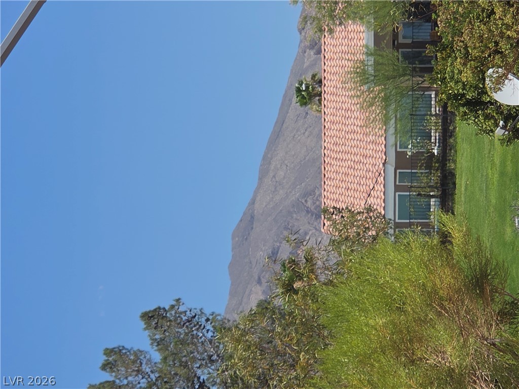 3101 Wonderview Drive Property Photo 6