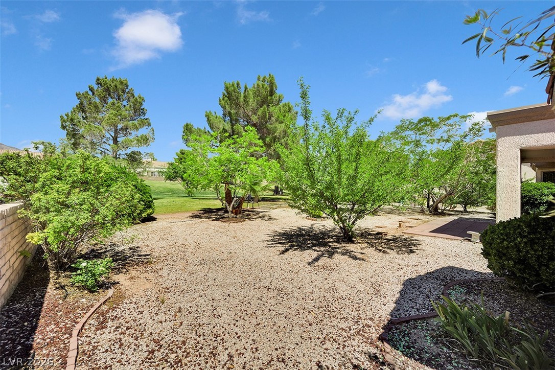 3101 Wonderview Drive Property Photo 29