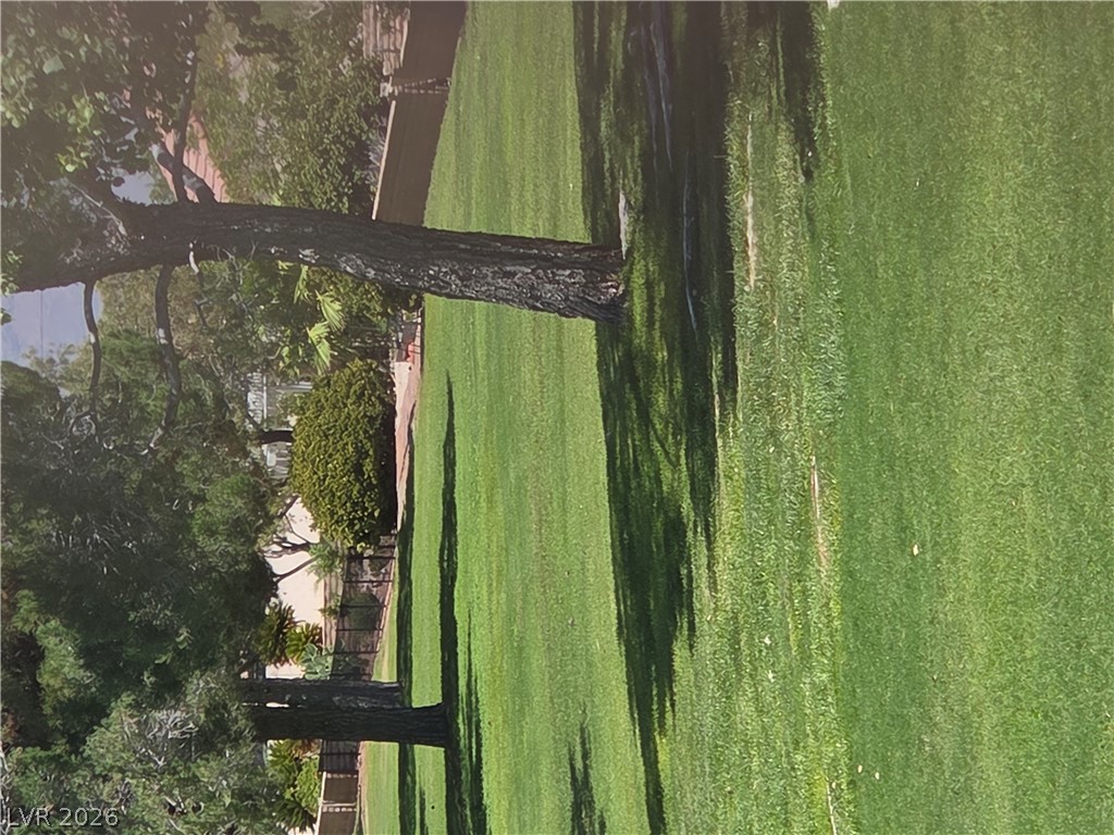 3101 Wonderview Drive Property Photo 43