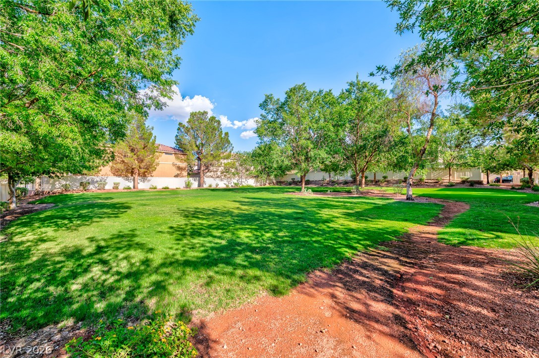 949 Medina De Leon Avenue Property Photo 14