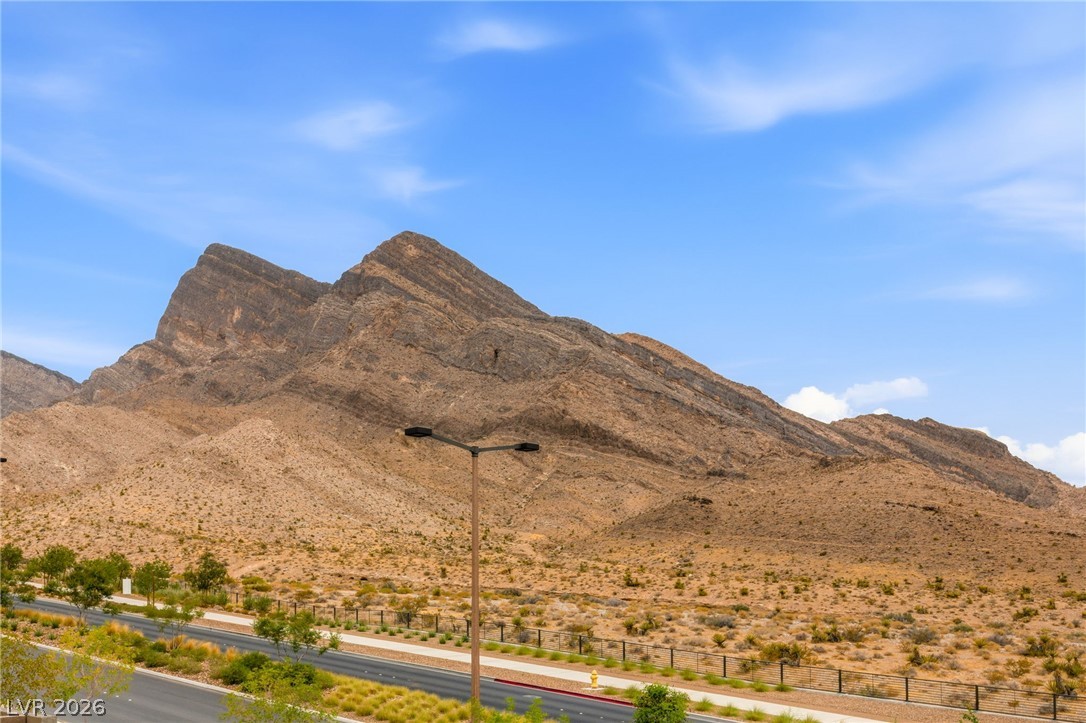11576 Desert Hollow Avenue Property Photo 33