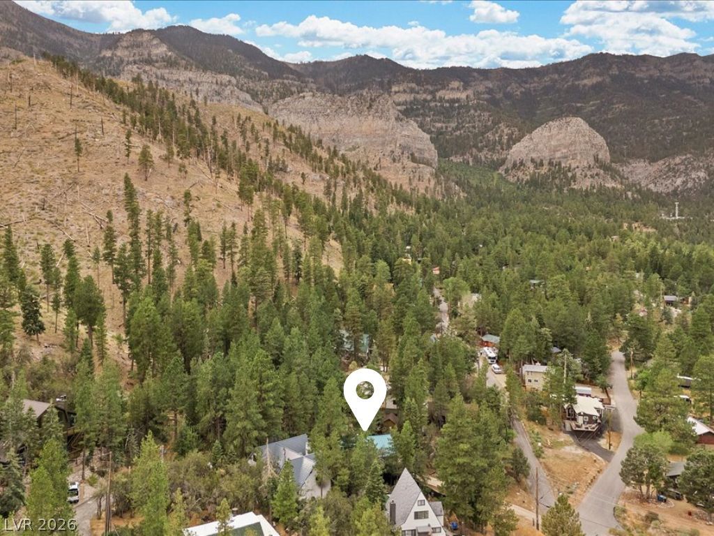 314 Alpine Way Property Photo 52