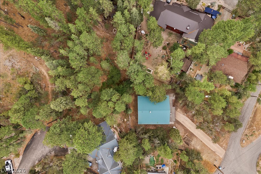 314 Alpine Way Property Photo 58