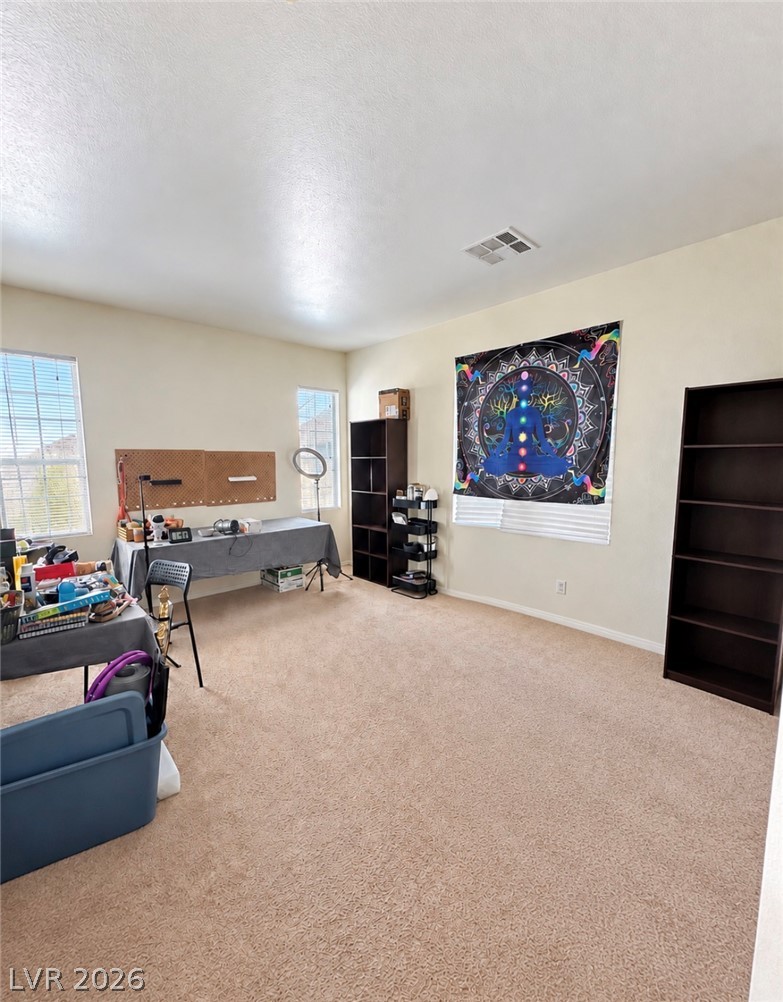 9834 Mandrake Falls Street Property Photo 9