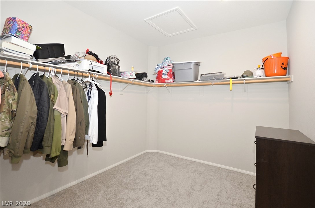 10424 Mont Pourri Court Property Photo 21