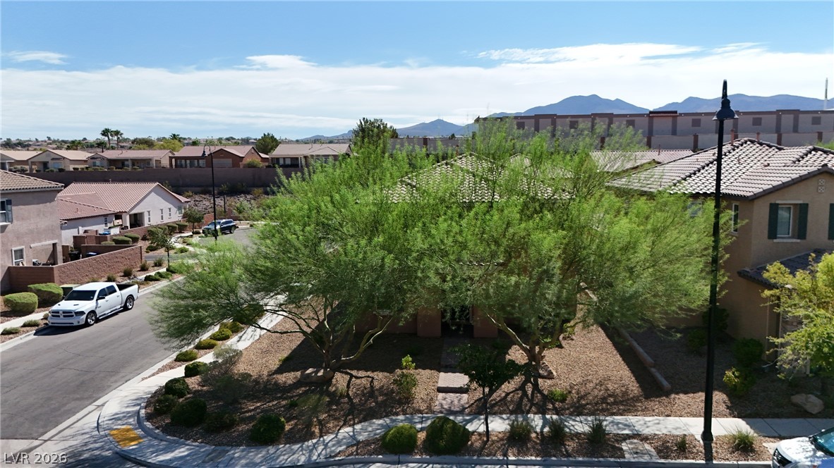 2352 Via Alicante Property Photo 55