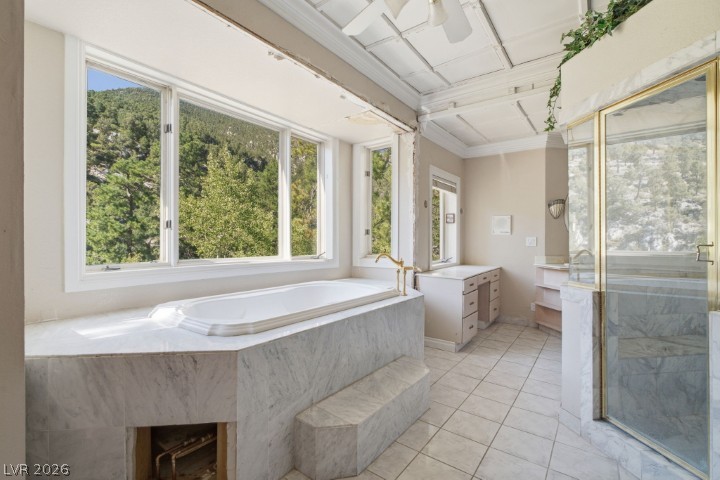 3910 White Fir Way Property Photo 43