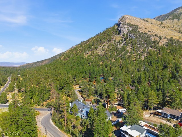 3910 White Fir Way Property Photo 63