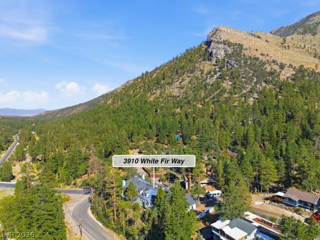 3910 White Fir Way Property Photo 65