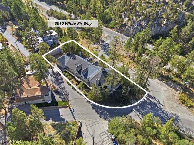 3910 White Fir Way Property Photo 66