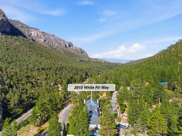 3910 White Fir Way Property Photo 69