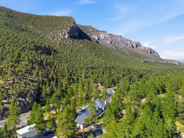 3910 White Fir Way Property Photo 71