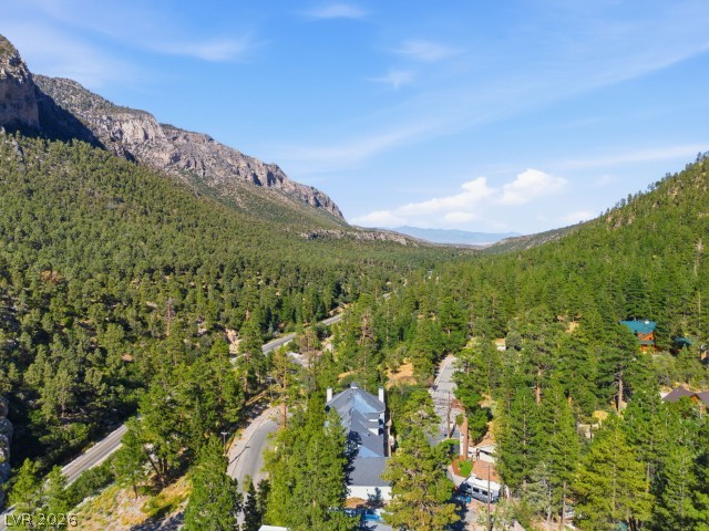 3910 White Fir Way Property Photo 72